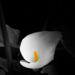 A black and white flower with a yellow center